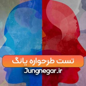 تست طرحواره 232 سوالی یانگ