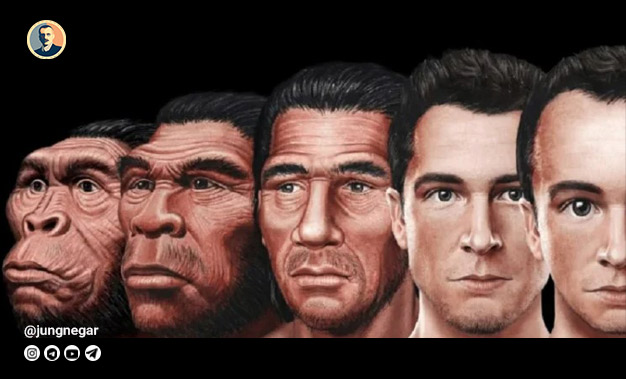 تاریخچهٔ تکامل زیست‌شناختی و روانی