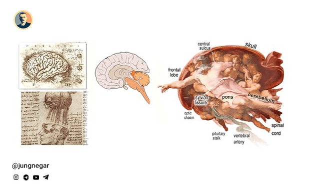 ادغام آگاهی، ماده و معنا